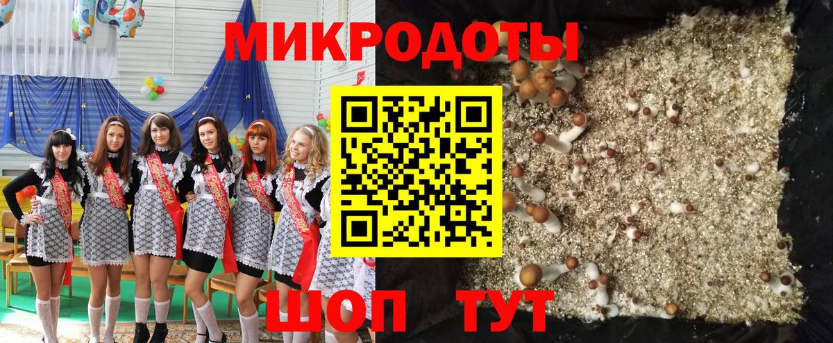 Белогорск  Псилоцибиновые грибы мицелий  Вход с VPN 